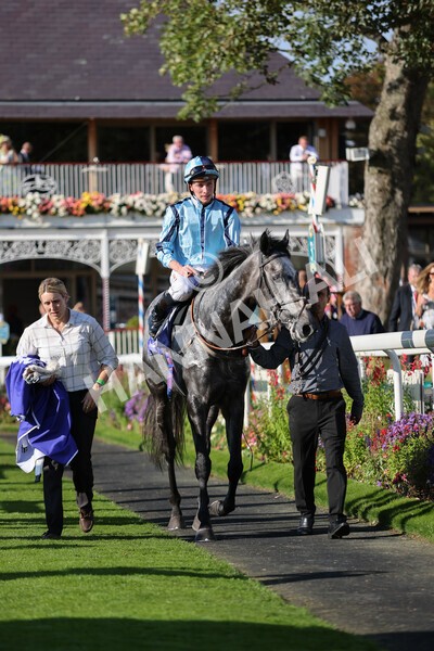 yr08102021r3-38 - Race 3 3.15pm Download The Casumo App Today Handicap