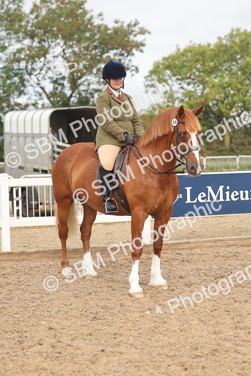 SBM_01943 - Class 14 - Ridden M&M Wildcard