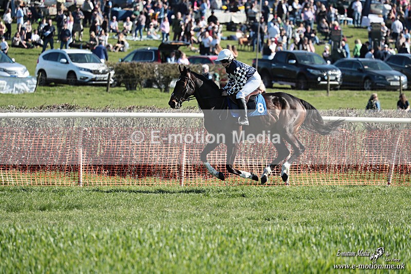 PtP 210326 312 - VWH Cirencester Races 21/03/26