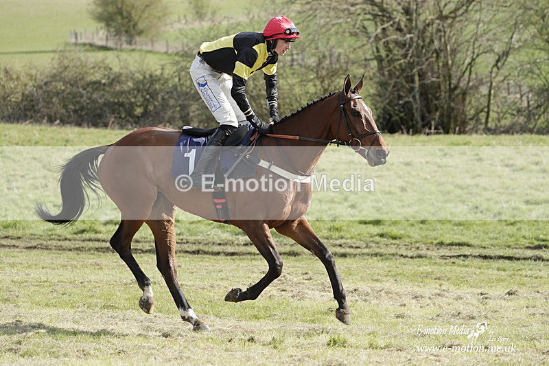 PtP 080423 636 - Dingley Races The Woodland Pytchley Hunt PtP 08/04/23