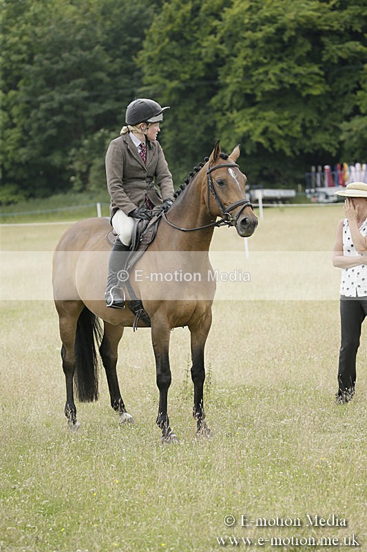 B230619-0874 - Bourne Valley Riding Club Summer Show 23/06/19
