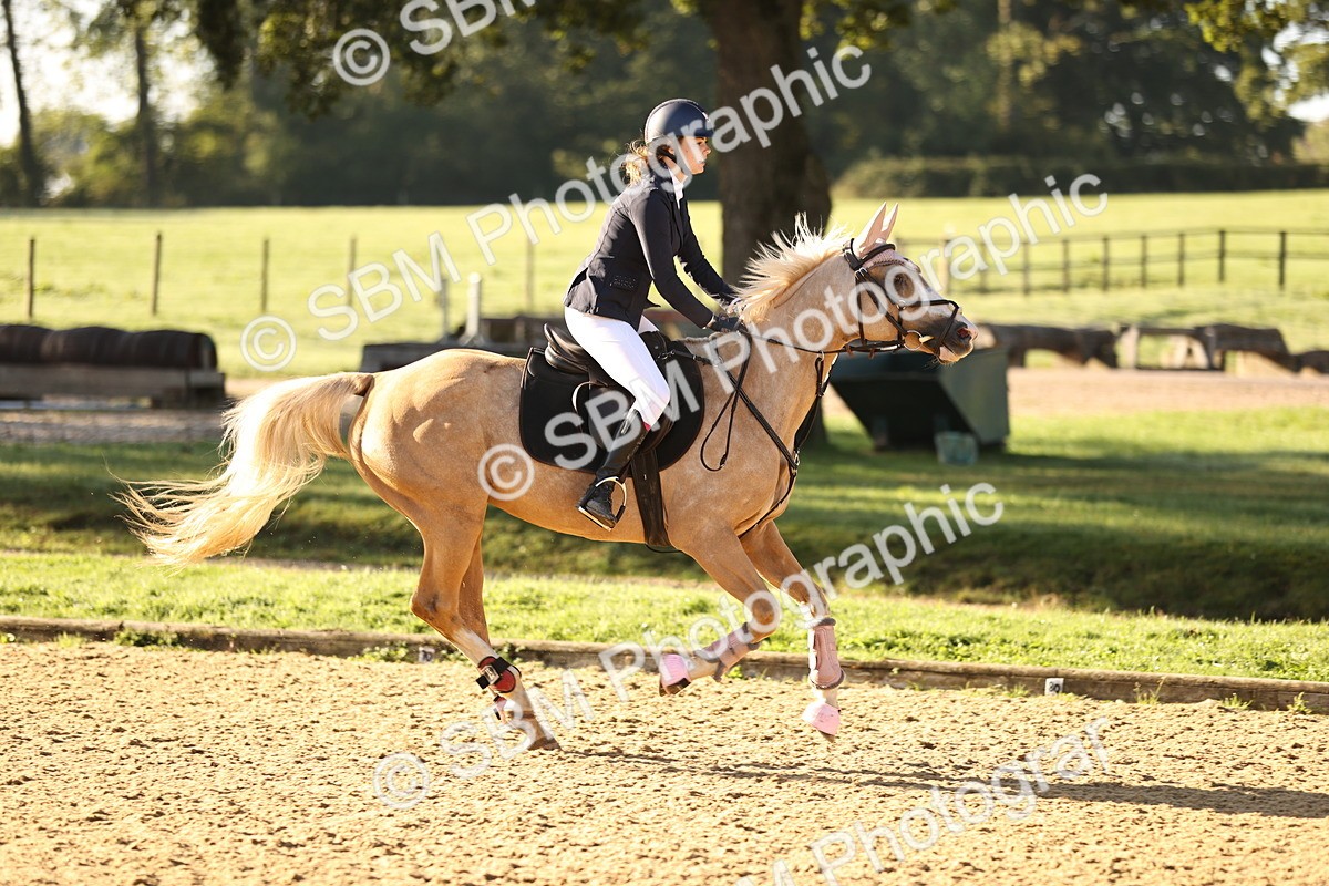 SBM_34603 - J38 - Senior 80cm Championship