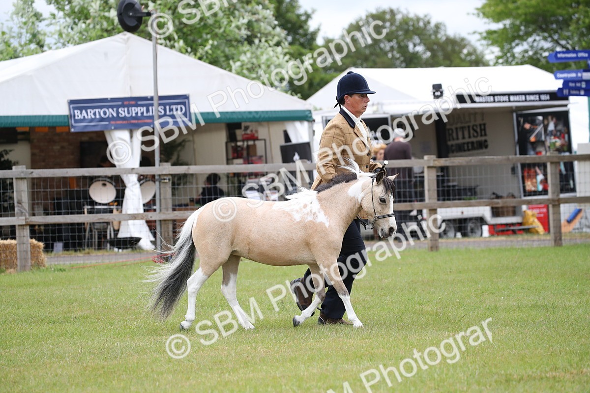 SBM_03938 - Class 23-25 - British Miniature Horse of the Year