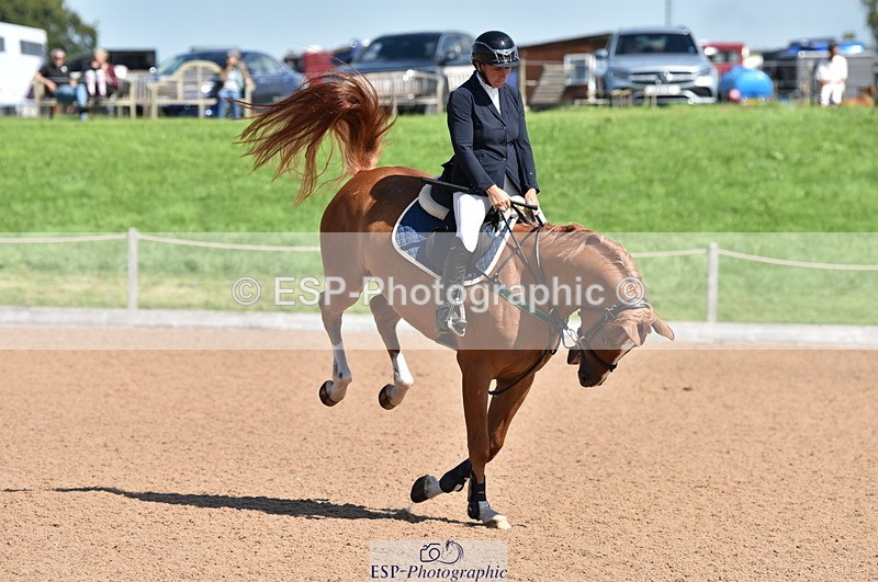 230810A-112846-00880 - Cls 9 Foxhunter