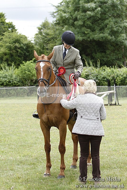 BVR160717-2300 - Working Hunter Championship 16/07/17