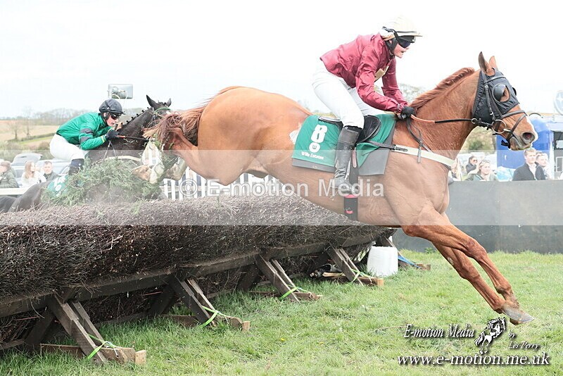 PtP 130425 126 - Edgecote Races 13/04/25
