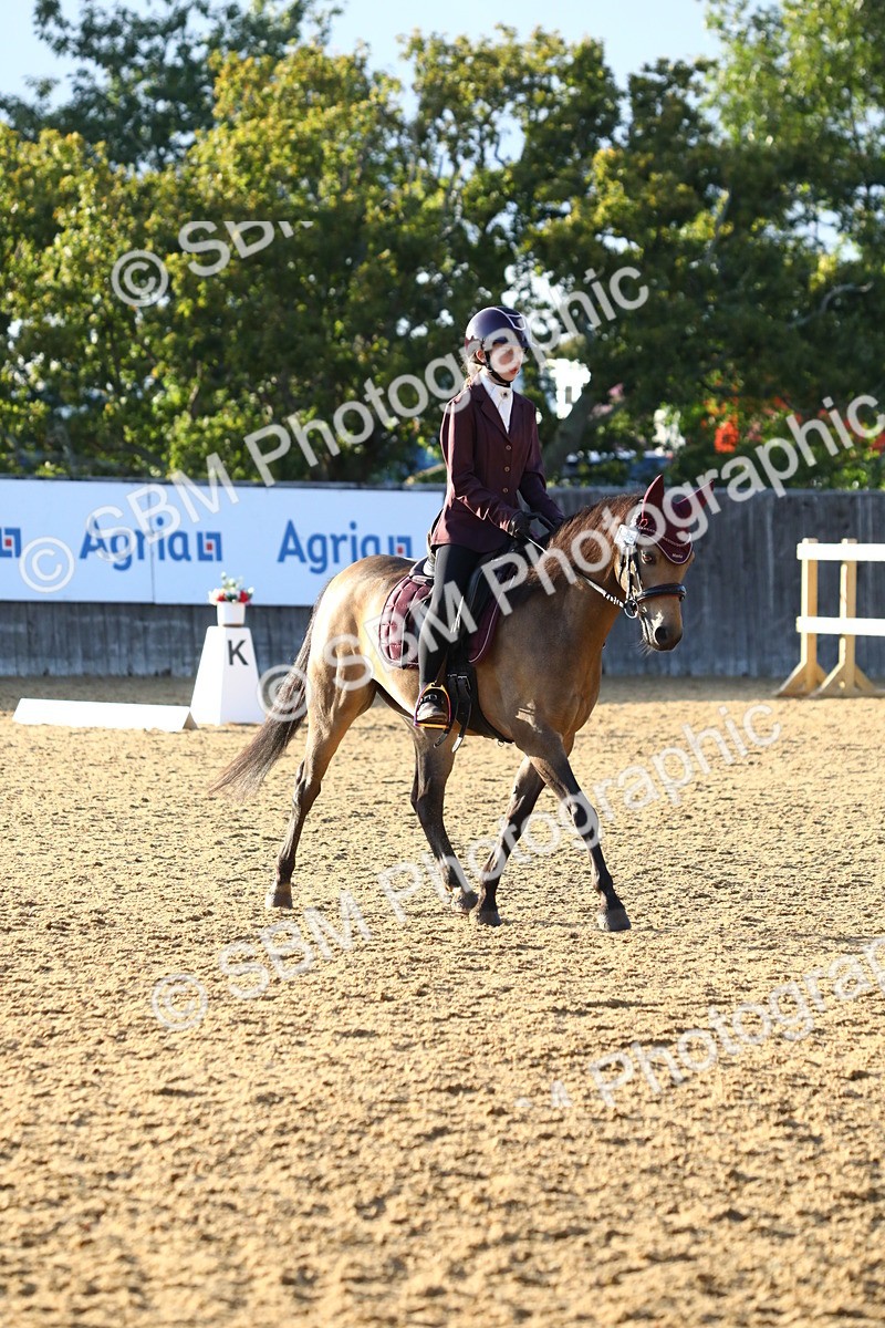 SBM_54496 - D25 - Junior Championship No1 & Elem 2