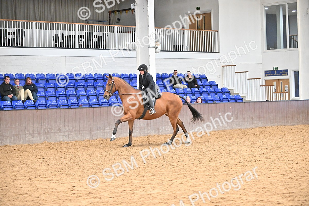 SBM_001943 - Class 25 - Tattersalls ROR Amateur Ridden