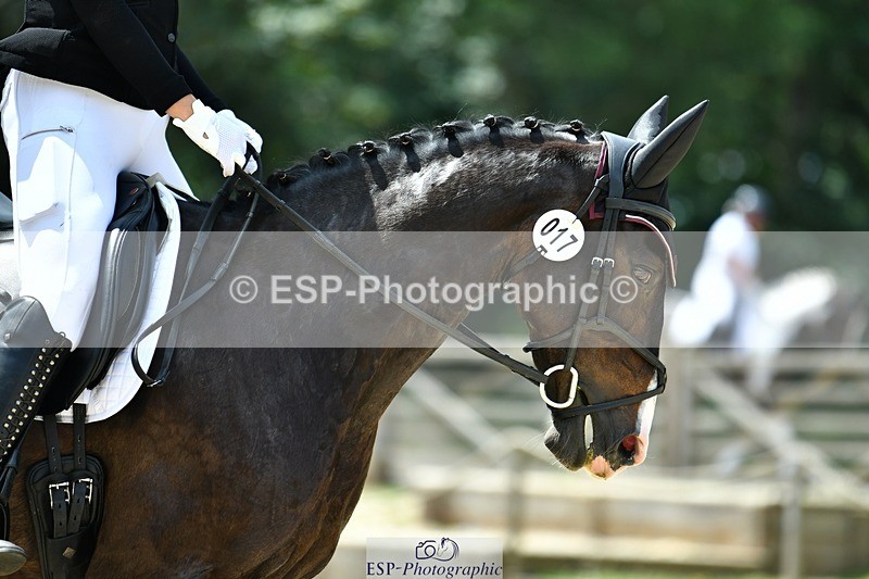 230623-130217-02304 - Cls 4 Novice 37Q 12.45 to End