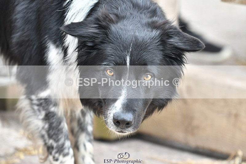 230817-153827-03103 - Presentations