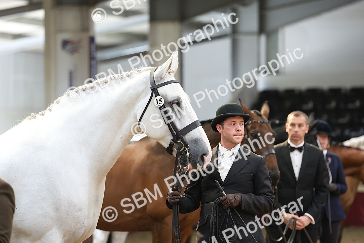 SBM_23368 - Class 903 - Supreme Final - IH Pre Vet