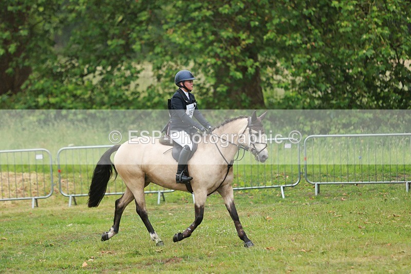 240630X-101637-5750 - 361-Darcy_Shaw-KILIMAZING_BRIMSTONE