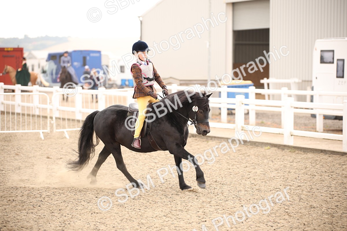 SBM_11731 - Class 404a Junior Working Veteran- 40cm (15-19)