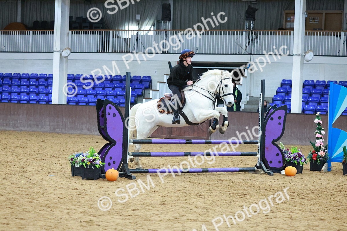 SBM_003176 - Class 4 - Pairs