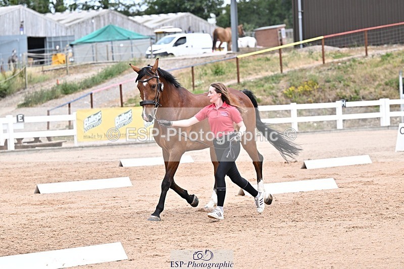 250716-133537-00586 - Trot Up 1.30 to 2.30