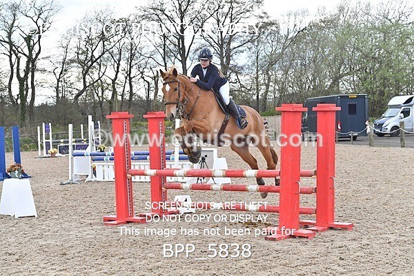 BPP_5838 - CLASS 24 SUN Senior British Novice/ 90cm Open