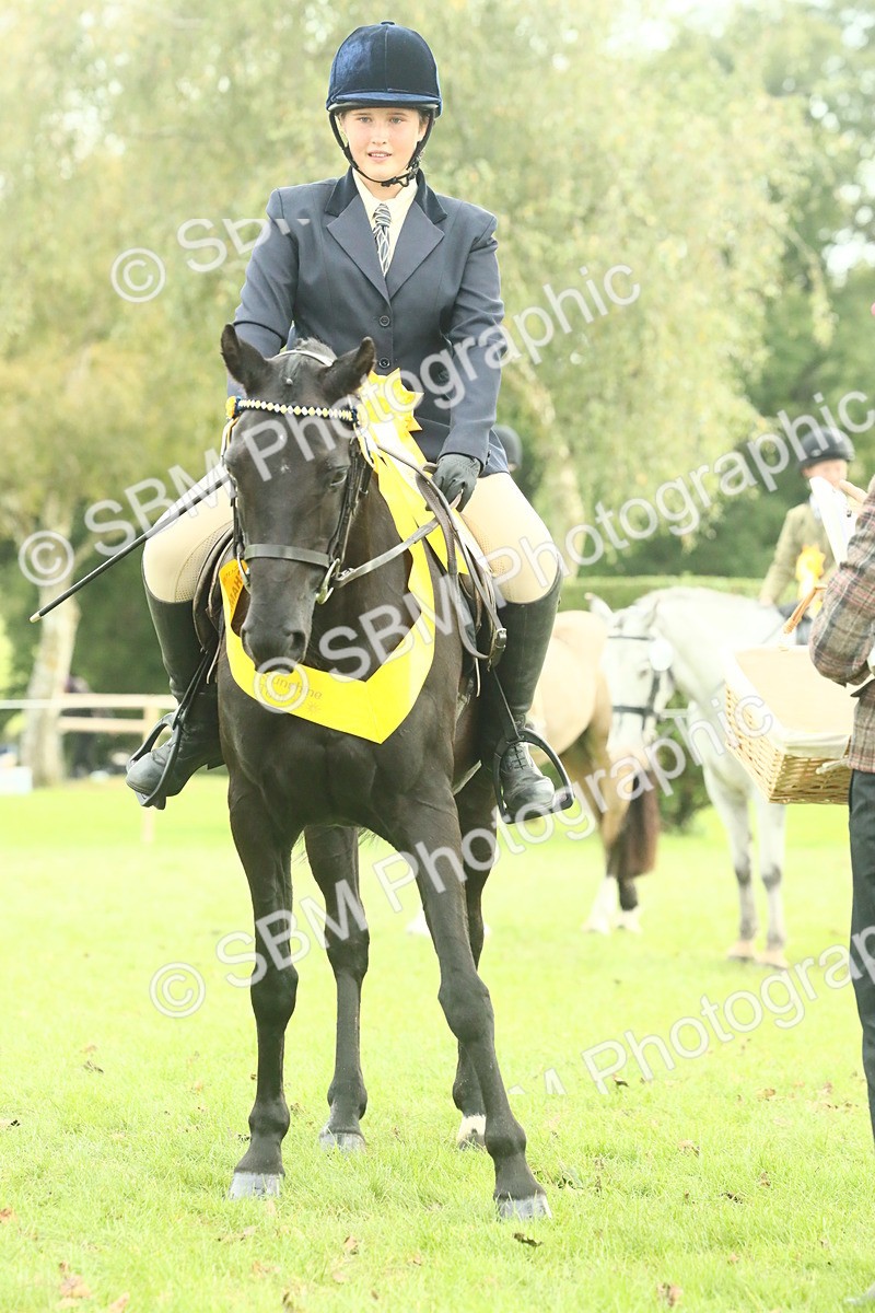 SBM_74137 - S 61 - Show Pony & Show Hunter Pony Ridden