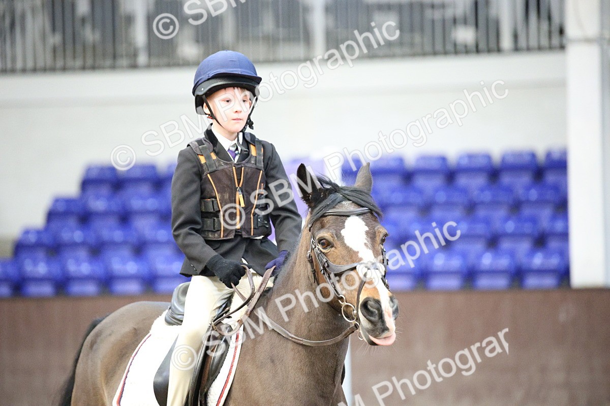 SBM_000034 - Class 1 - 40cm