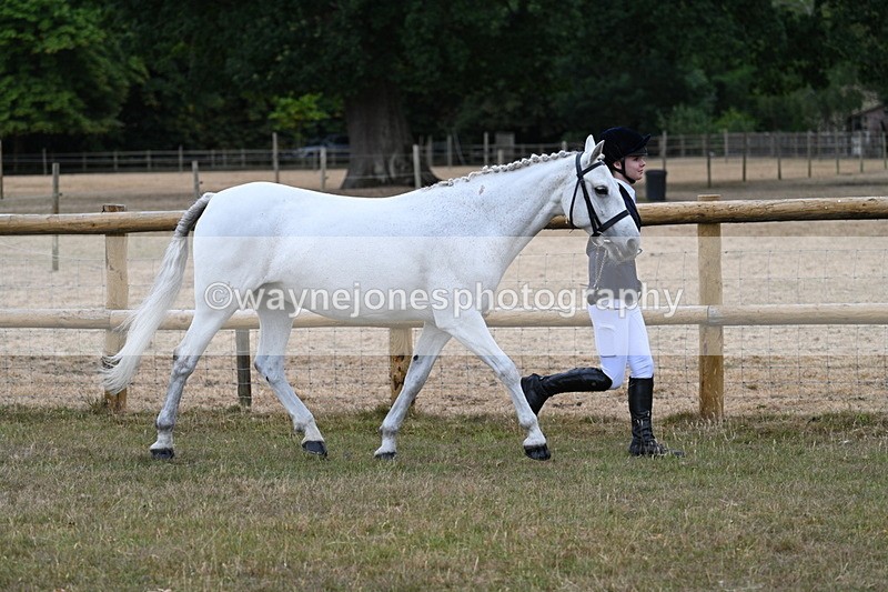 WJ7_8820 - Class 4a Prettiest Mare 14.2hh and over