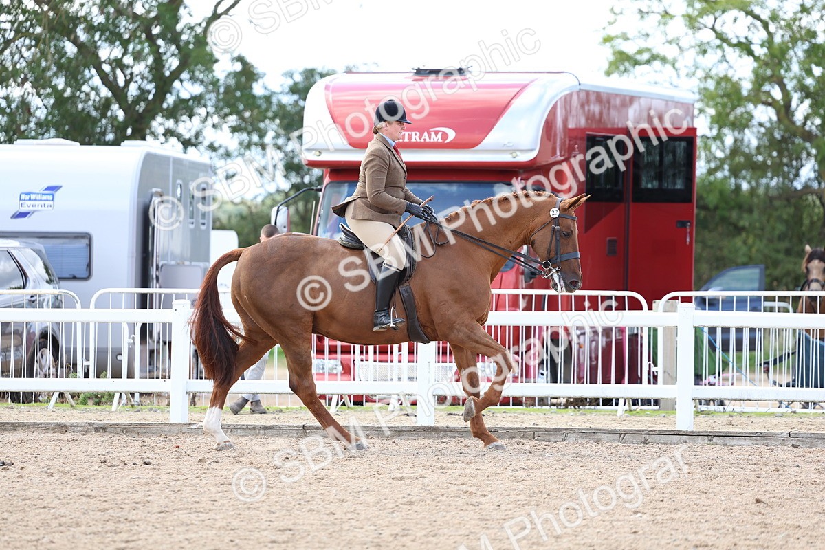 SBM_17146 - Class 315 - Best Horse - Rider Combination