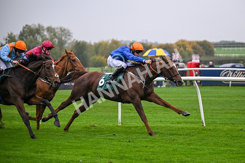 181025-Race 1-Bollin Neil-0161 - Race 1