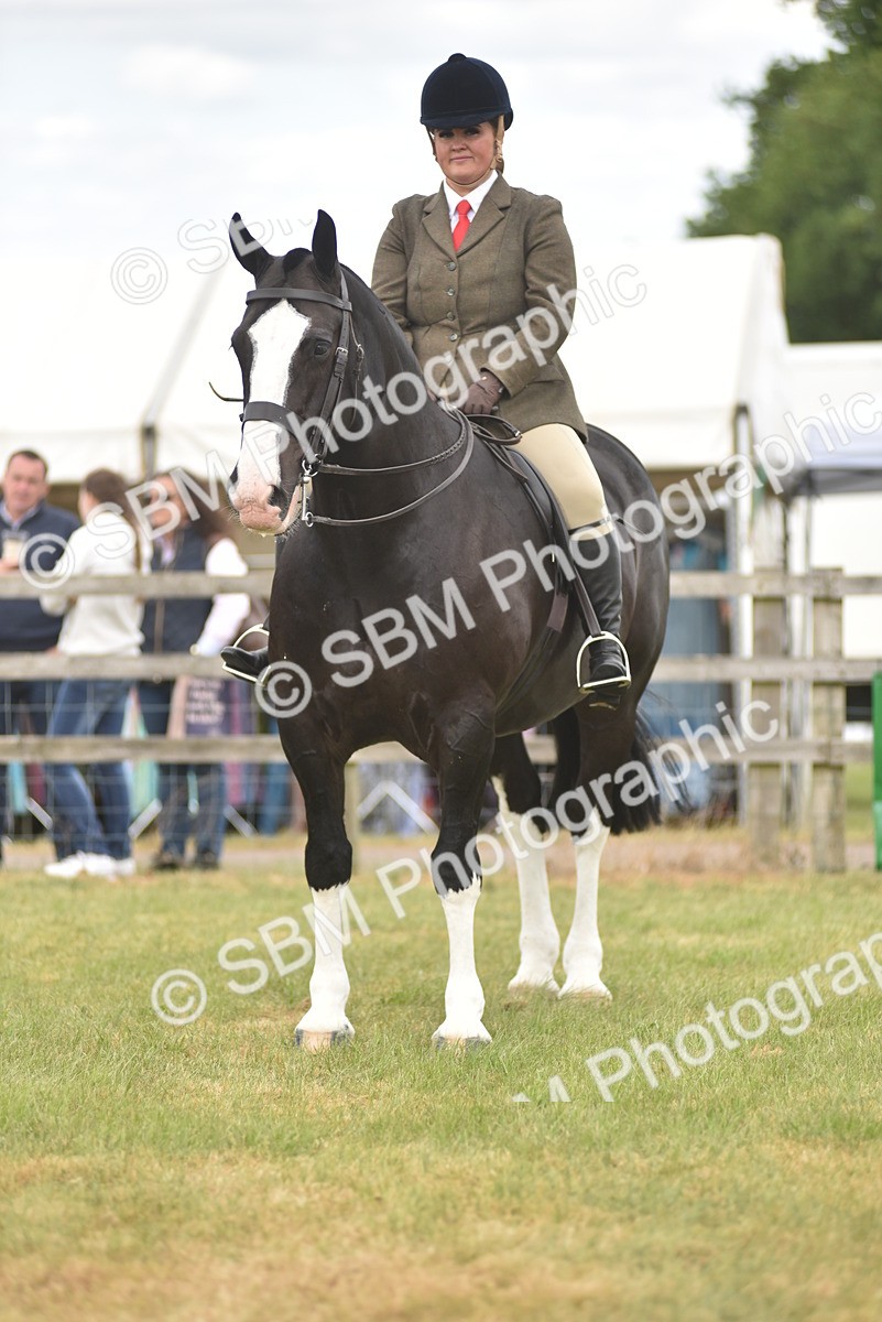 SBM_17761 - Class 122-123 - LIHS BHSA Raising Star Style and Performance Series