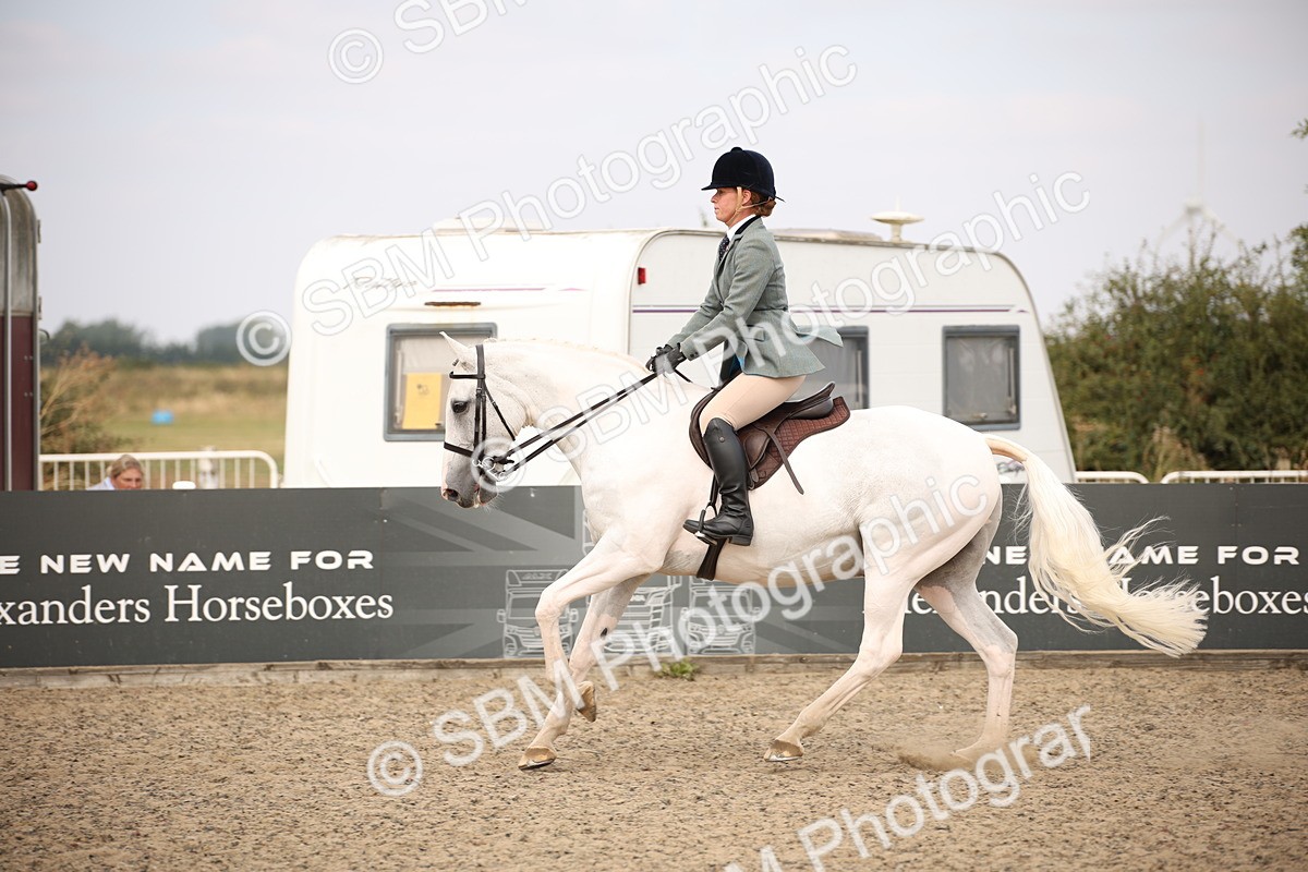 SBM_16149 - Class 409a - Working Veteran 80cm (15-19)