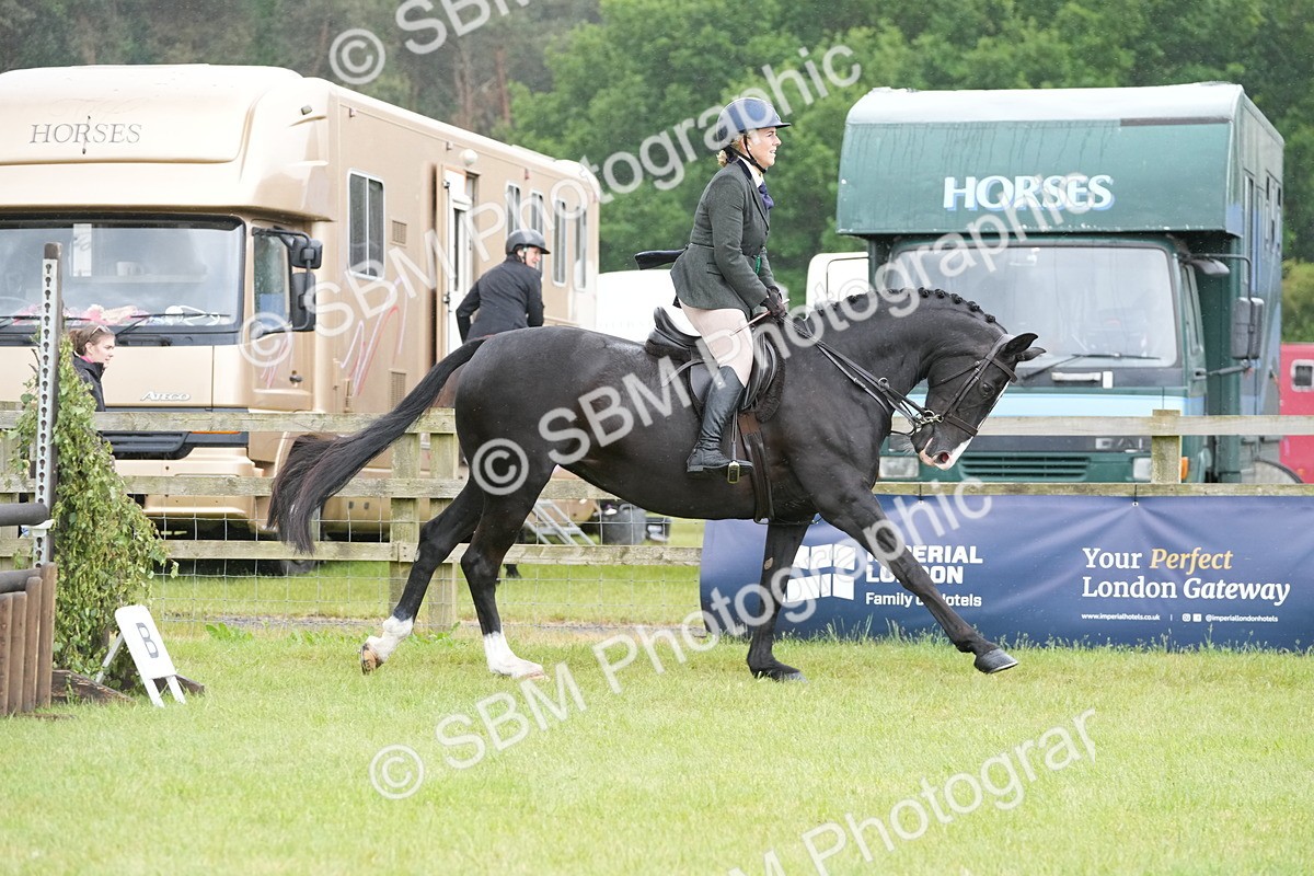SBM_12827 - Class 97-98 - LIHS BSHA Rising Star Working Show Horse Hunter