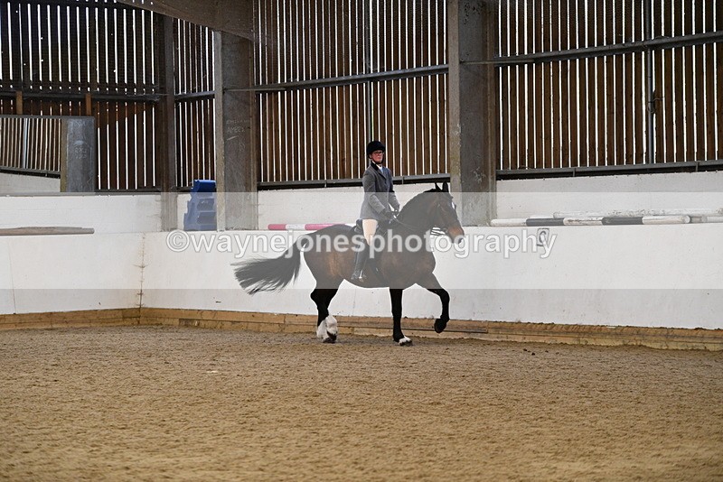 WJ5_7688 - Class 13 Ridden Part Breed