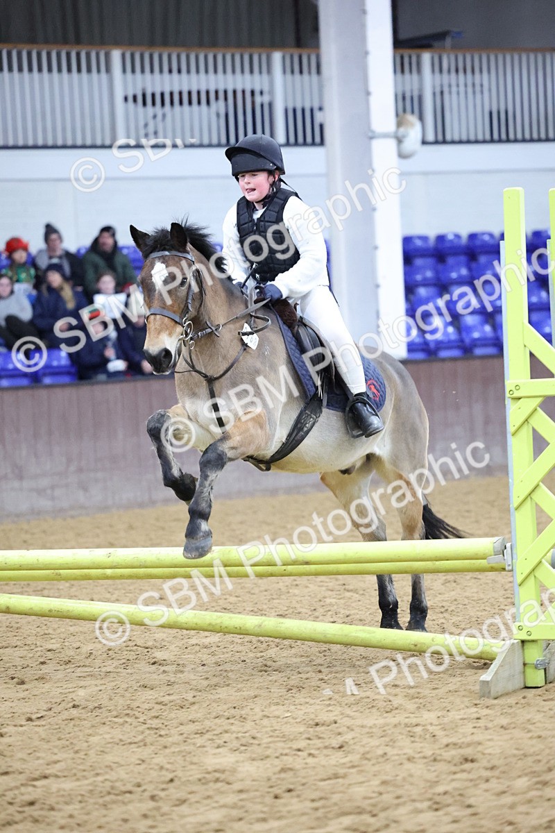 SBM_001049 - Class 3 - Christmas Tree Stakes - 60cm