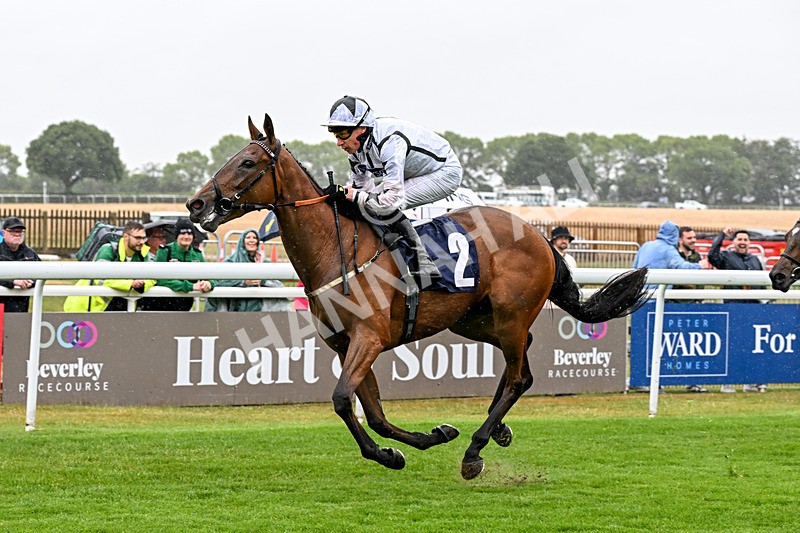 150725-Race 1-Dunkeld Dreamer-0089 - Race 1