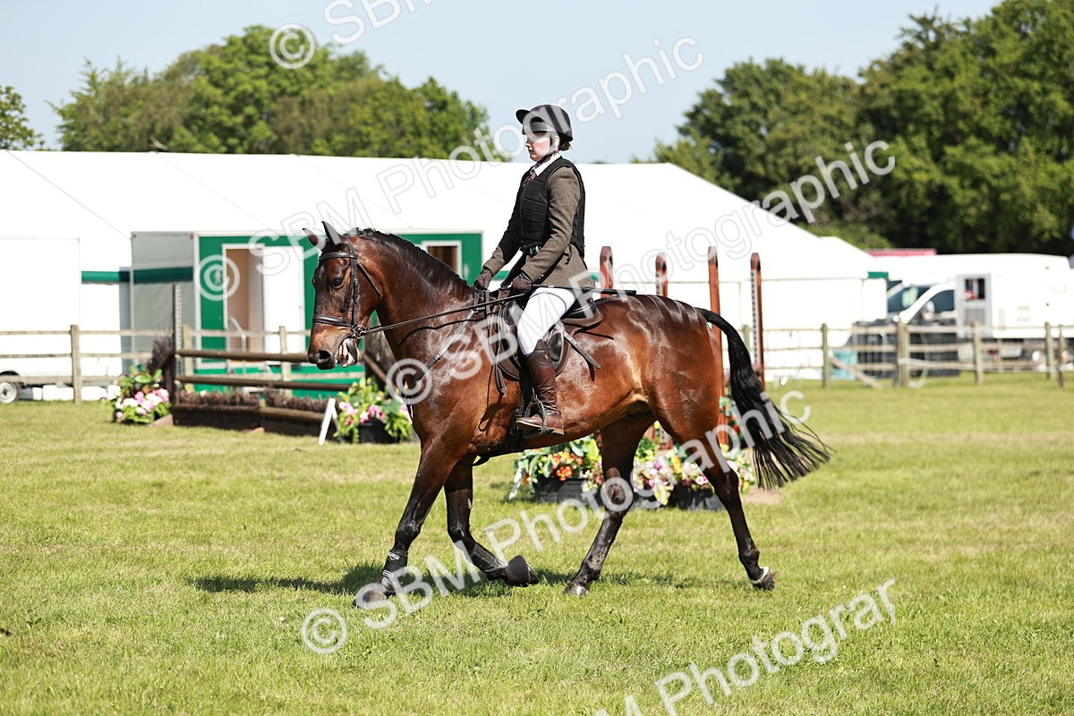SBM_18410 - Class 112-113 - BSPS LIHS Working Sports Pony