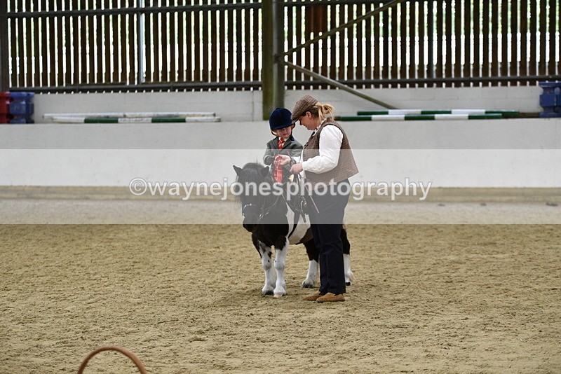 WJ5_7107 - Class 10 Childs Pony