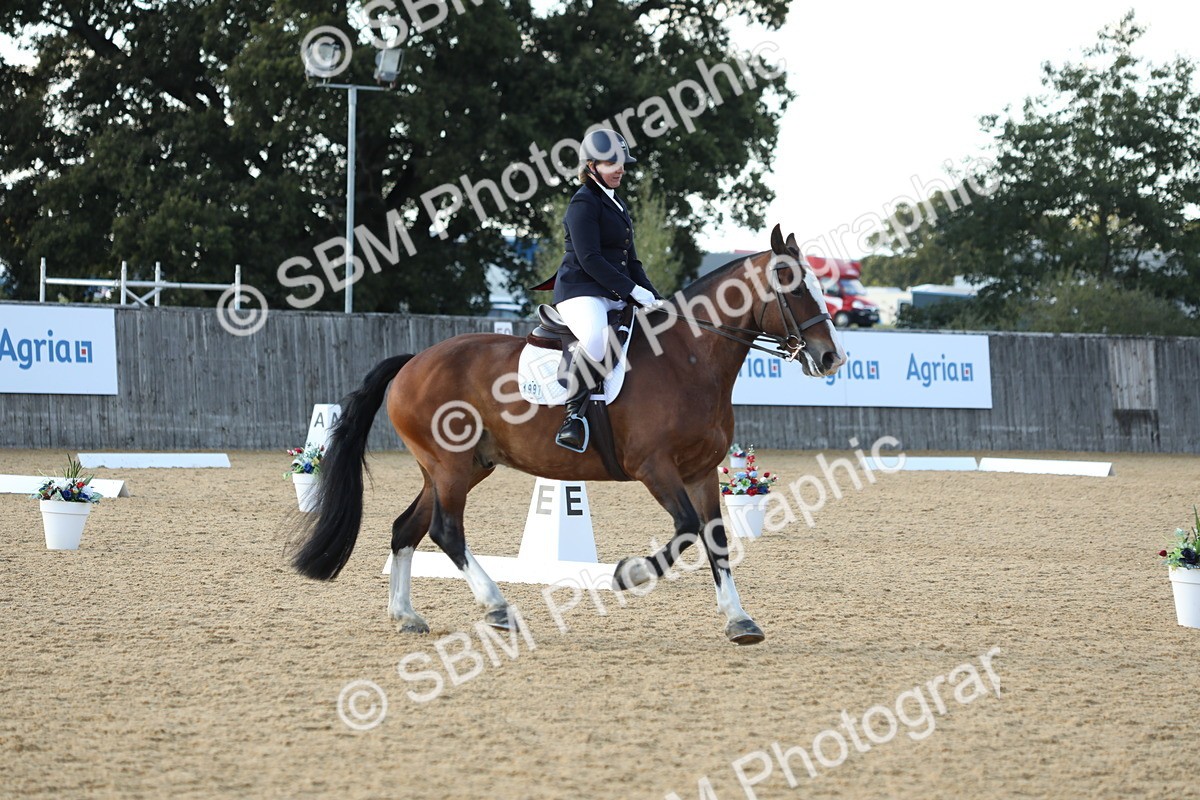 SBM_28675 - D20 - Grand Tour Championship - Elementary 44