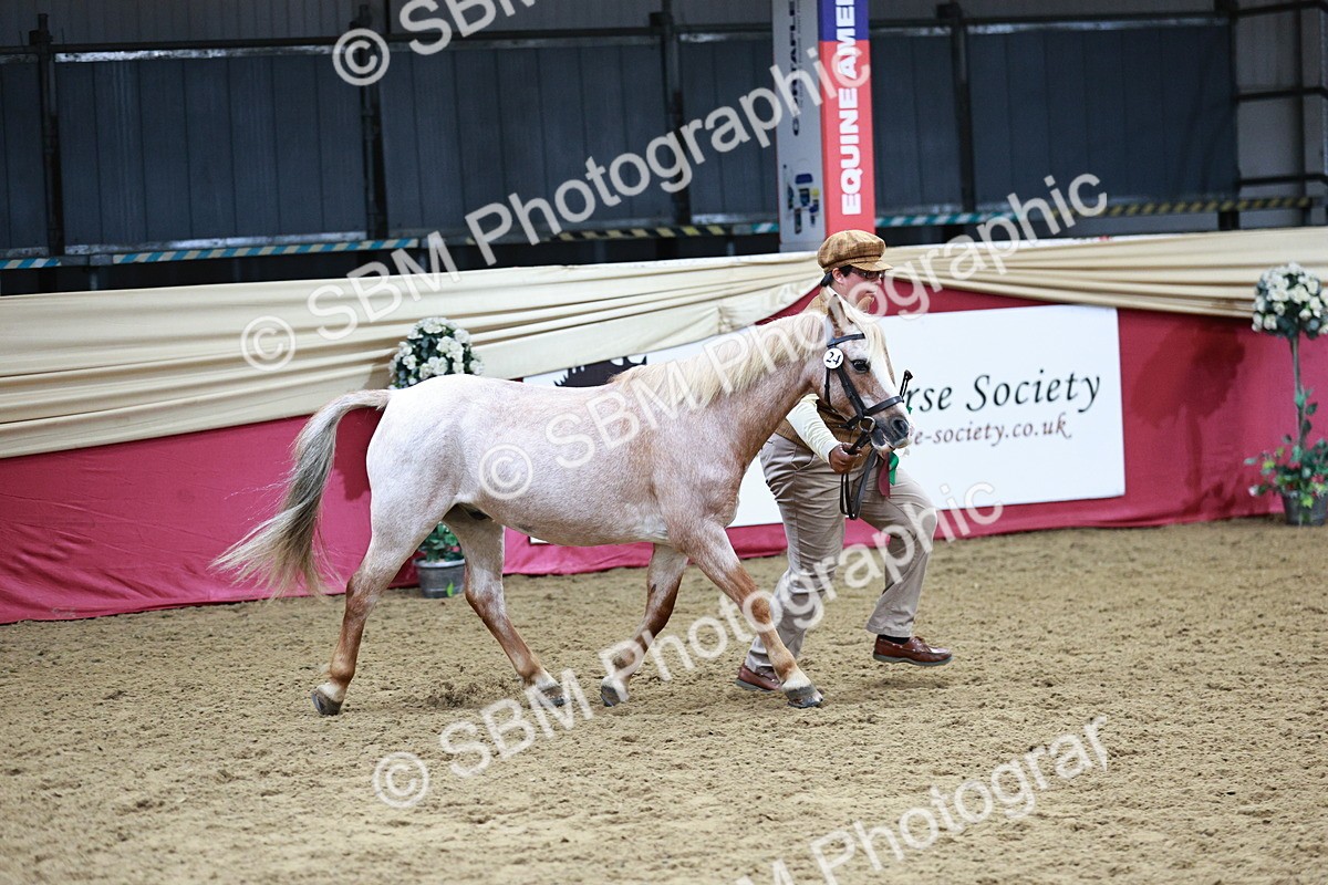 SBM_01106 - Class 2A - Area IH Veteran