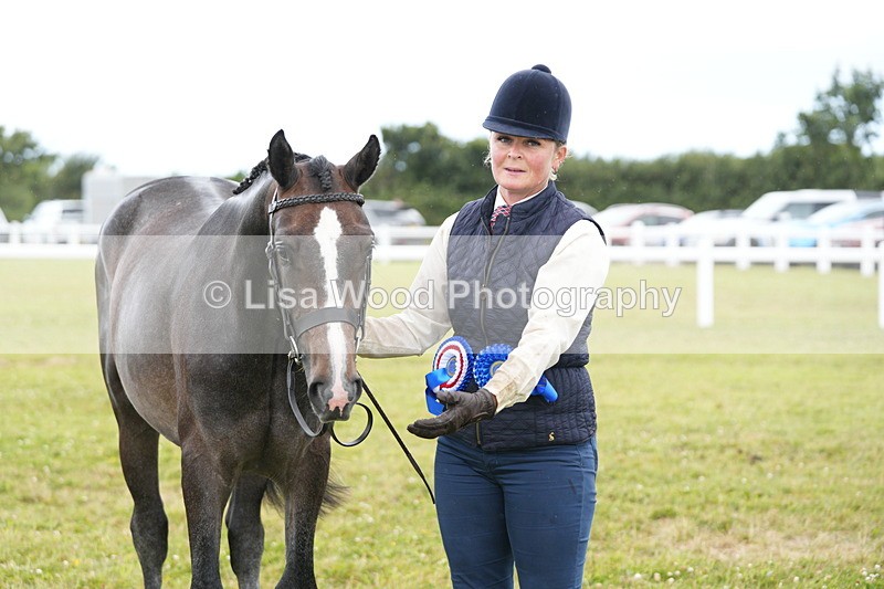 DSC06447 - Hunter/Riding Horse/Hack In Hand Championship