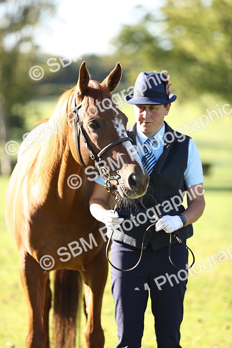 SBM_15780 - S1 - TSR in Hand Horse & Pony Showing