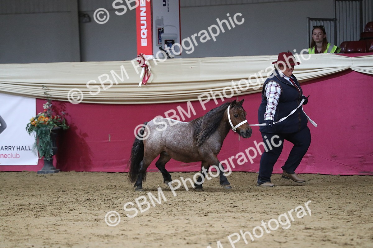 SBM_06367 - Class 9R Regional- IH Pre Vet
