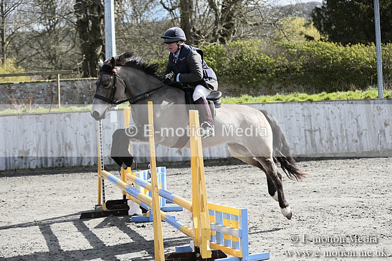 BVRC SJ 170319 204 - Bourne Valley Riding Club Showjumping 17/03/19