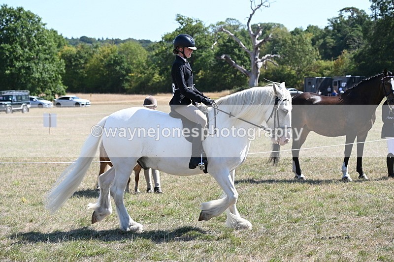 WJ6_8269 - Class 37a Best Loan Pony Ridden