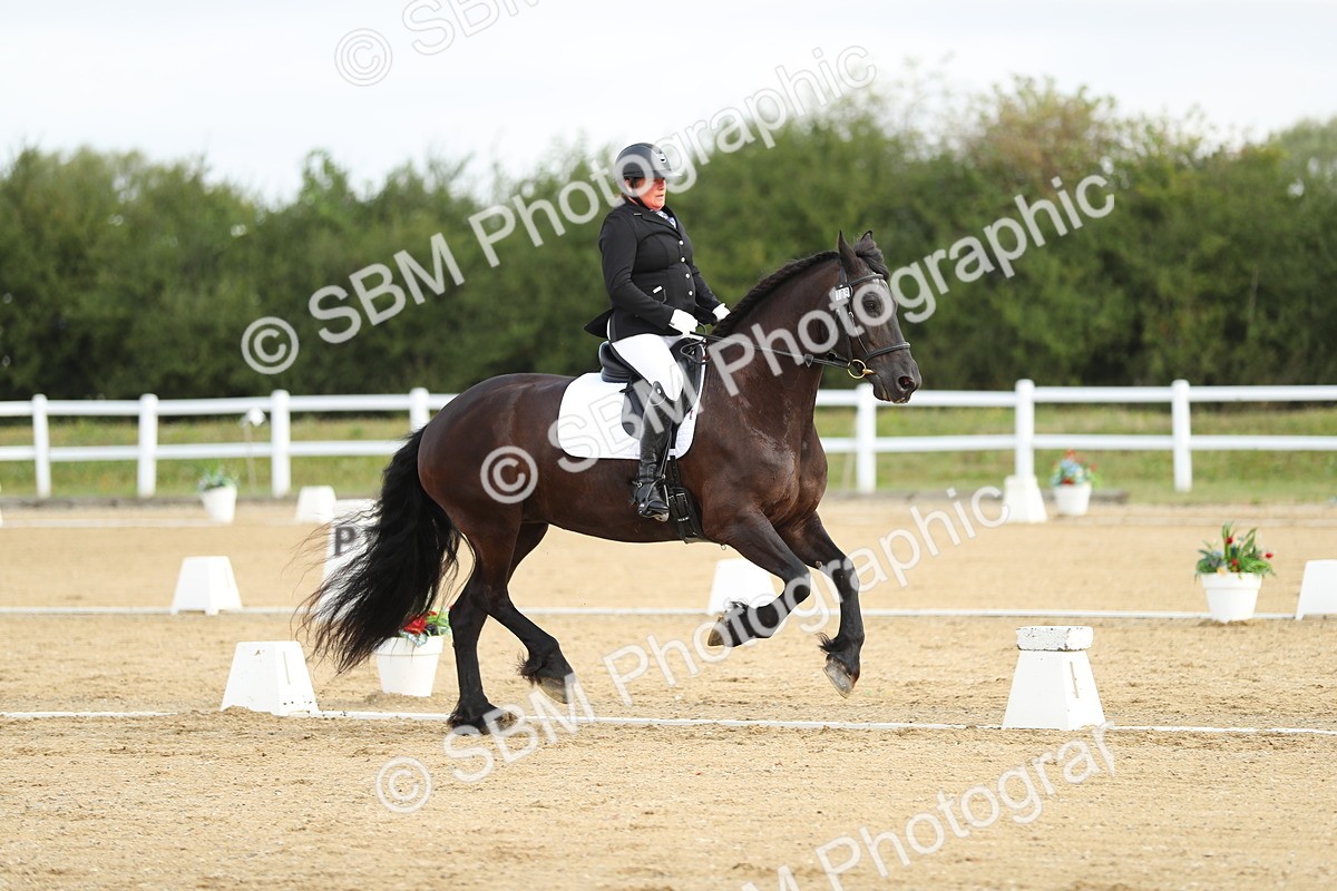 SBM_015045 - Class 13 - Novice 23 - 8,30-9.33