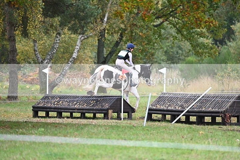 WJ6_3701 - 90cm Cam 1 Time 13:35 to 14:03