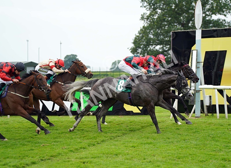 160626-Race 4-Mr King-6 - Race 4 16.02pm Every Race Live On Racing TV Handicap