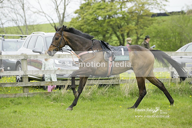 PtP 020522 160 - Mollington Races Point-to-Point 02/05/22