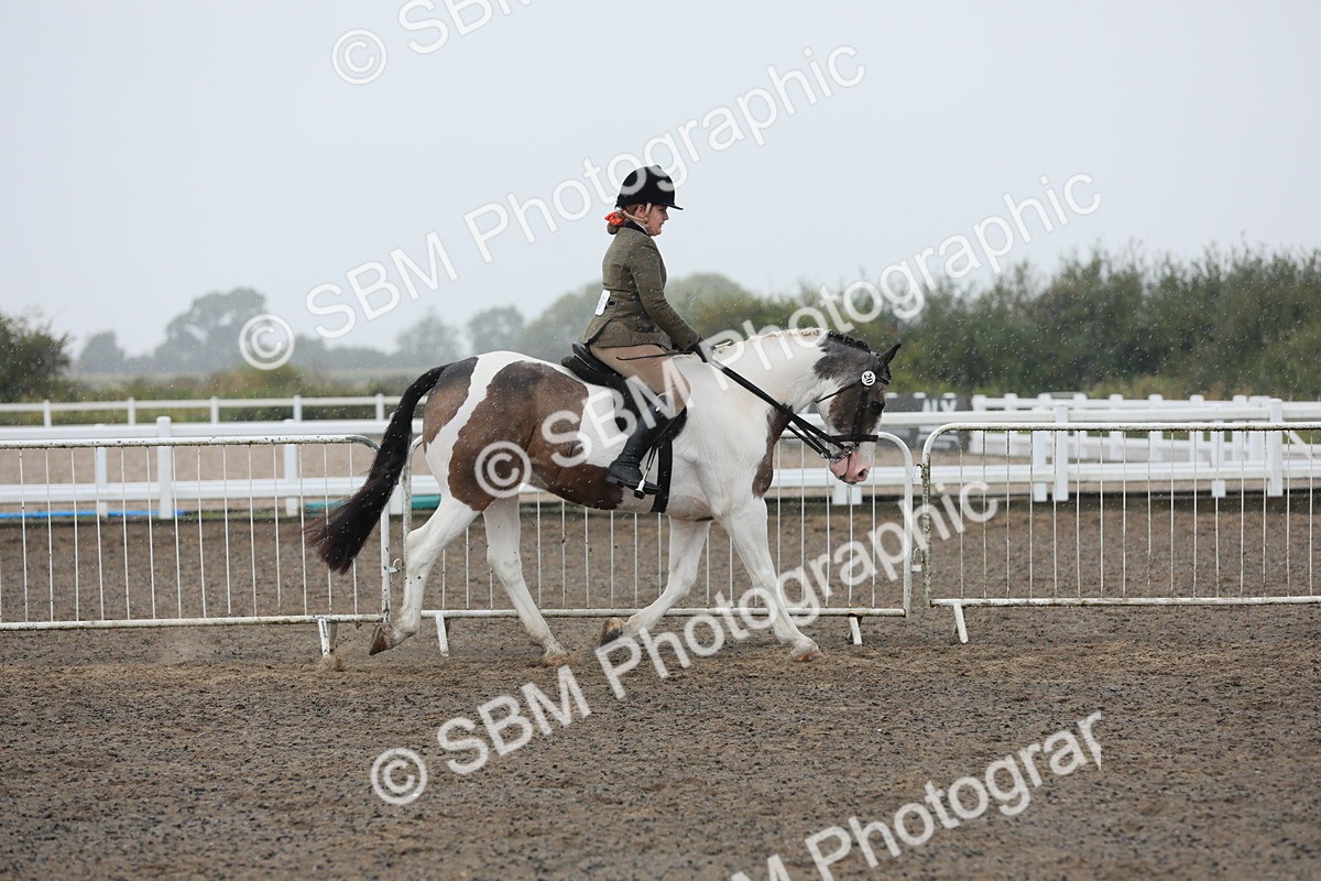 SBM_20548 - Class 804 - Ridden Veteran Pony