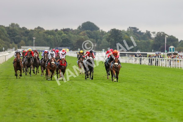 080924-Race 6-Northern Spirit-4536 - Race 6 4.35pm Hanson Springs Handicap