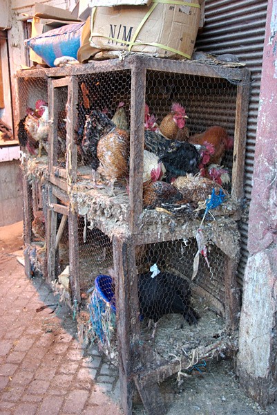  - Marrakech