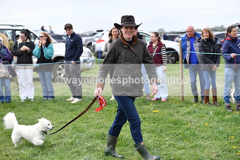 WJ5_9418 - Class 1 Best Cross Breed / Heniz 57