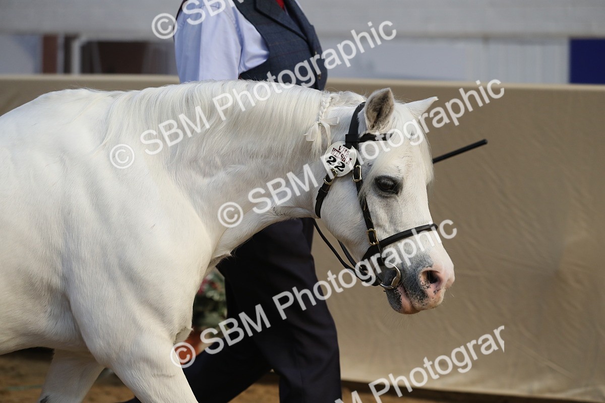 SBM_00509 - class 2a Area IH Veteran
