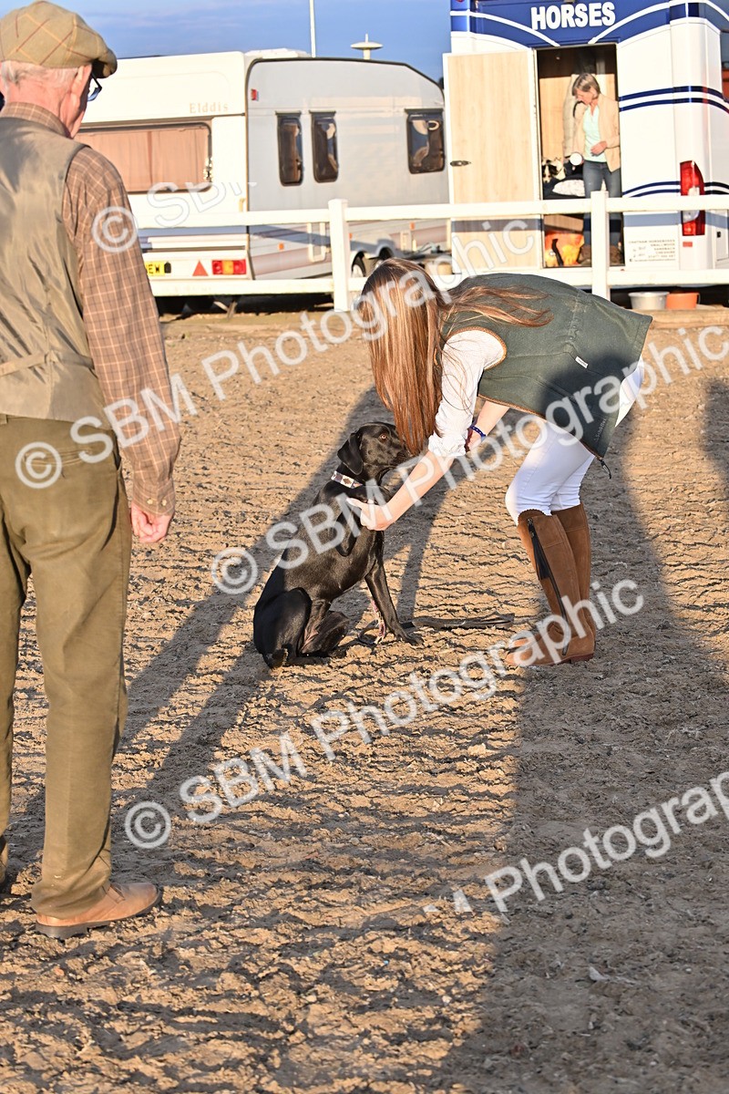 SBM_09654 - Lorry Dogs